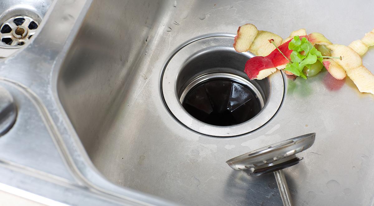 what_can_and_cannot_go_into_a_garbage_disposal image